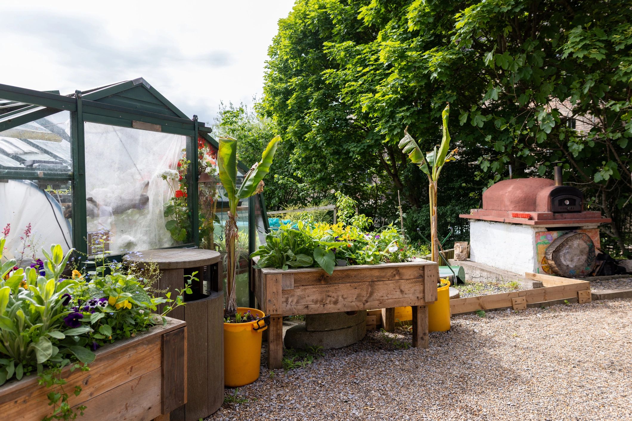 Community garden with raised beds